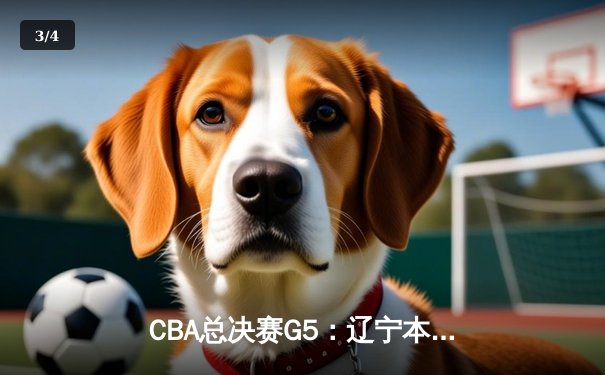 CBA总决赛G5：辽宁本钢加时险胜广东宏远 成功卫冕 - 3